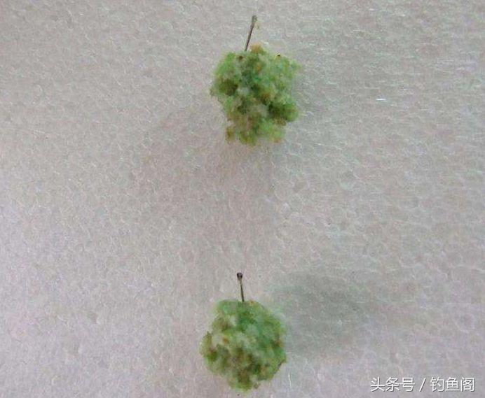 野钓蓝鲫和野战蓝鲫区别,夏季钓鲫鱼大河好还是小河好