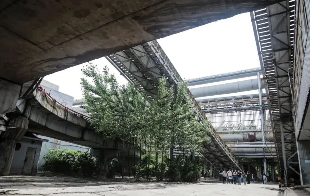 《复兴你好》第五十三期