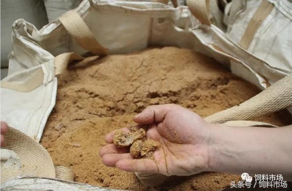 绿色无抗齐鲁行第1期：海明汇饲料：中草药替抗之路的实践者