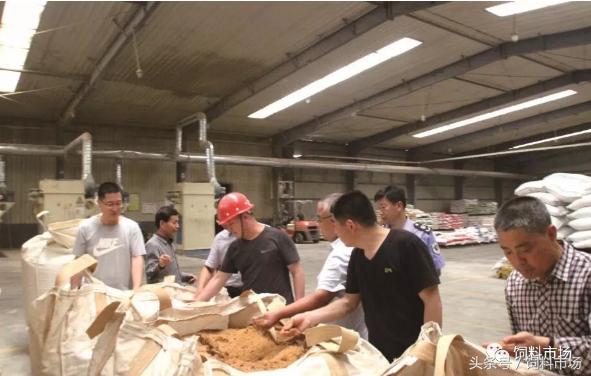 绿色无抗齐鲁行第1期：海明汇饲料：中草药替抗之路的实践者