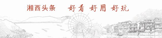 泸溪椪柑品牌现状,泸溪椪柑种植基地