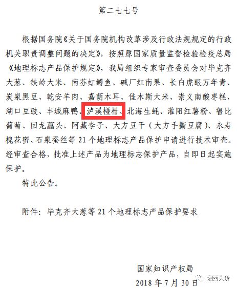 泸溪椪柑品牌现状,泸溪椪柑种植基地