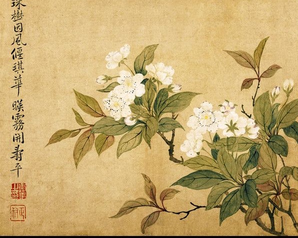 谜语的谜格之梨花格