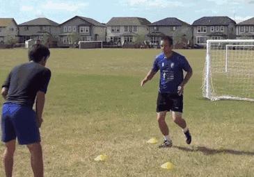 肇庆特色小学,广东肇庆学校名录一览表