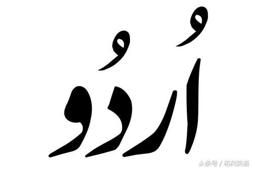 现在最流行的语言是什么,未来世界语言中哪些语言流行