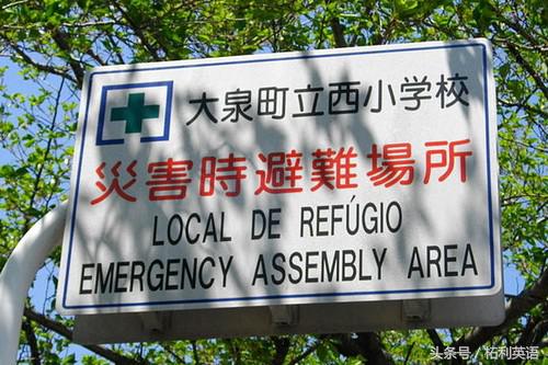 现在最流行的语言是什么,未来世界语言中哪些语言流行