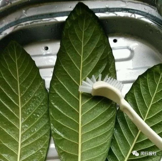 延禧攻略魏璎珞为明玉出气,延禧攻略魏璎珞救了永琪