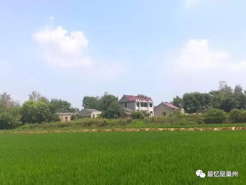 天南地北巢湖人——责任与担当