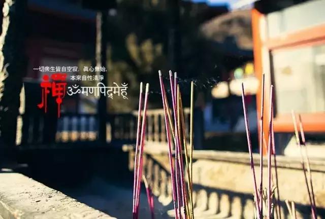 人生路如何走好,走好人生路视频