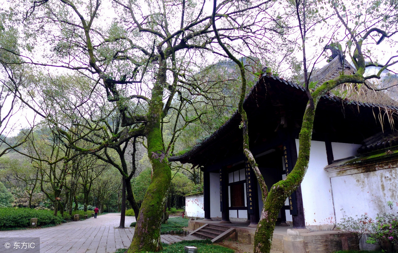 人总是在失去后才懂得珍惜没用了,失去才懂珍惜句子