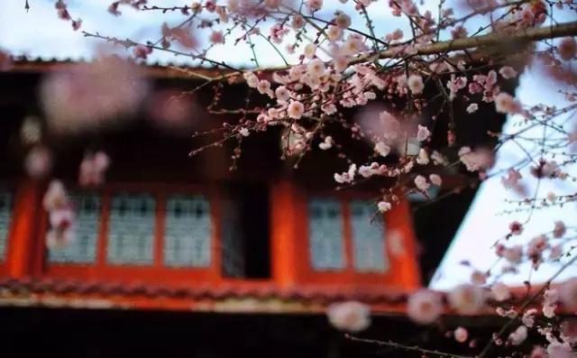 七情六欲是哪七情哪六欲释义,七情六欲指的是什么