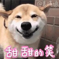 为“角色扮演”副厅长,“的哥”购买“十九大出席证”每天看新闻联播