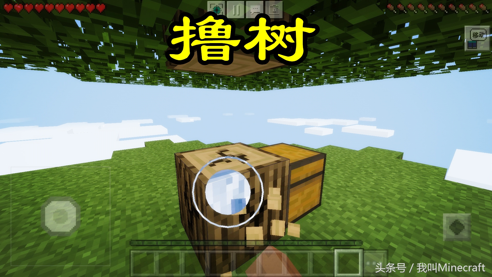 我的世界空岛生存超难,我的世界空岛生存最难挑战