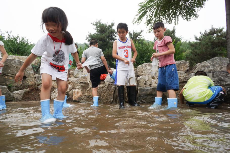 宝妈暑期该如何充实自己,老师充实的暑期生活