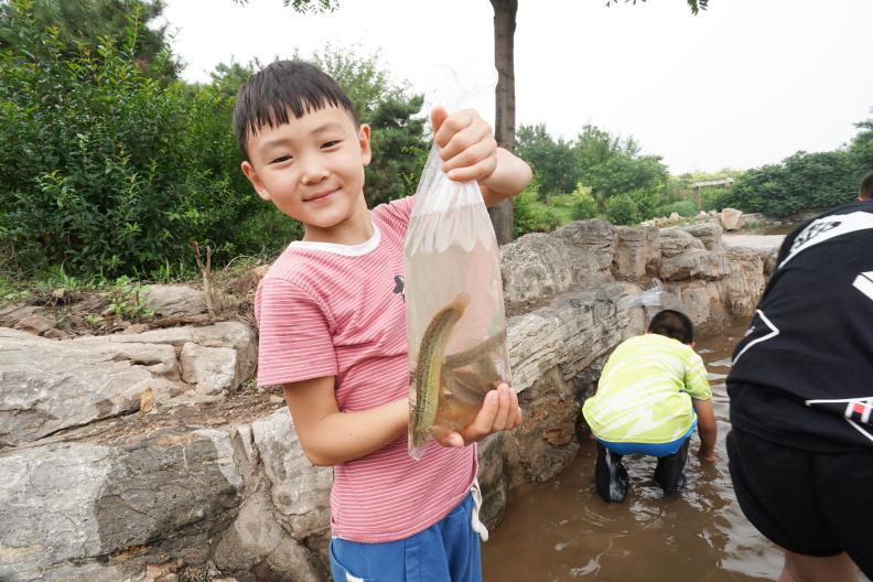 宝妈暑期该如何充实自己,老师充实的暑期生活