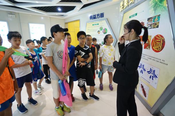 宝妈暑期该如何充实自己,老师充实的暑期生活