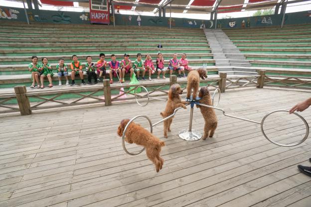 宝妈暑期该如何充实自己,老师充实的暑期生活