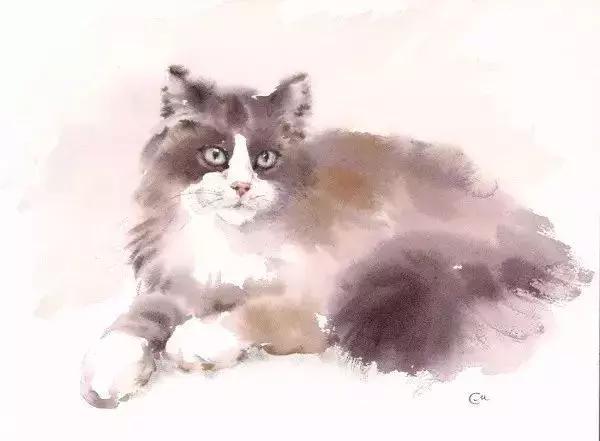 水彩教程颜料,水彩的基本知识与技法