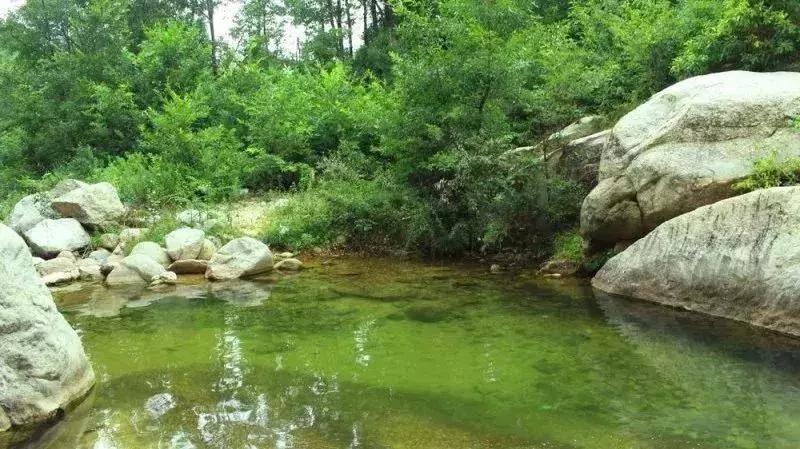 洛阳夏天适合一天游玩放松的地方,洛阳这个季节适合去哪旅游