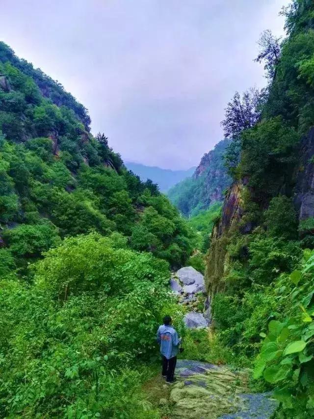 洛阳夏天适合一天游玩放松的地方,洛阳这个季节适合去哪旅游