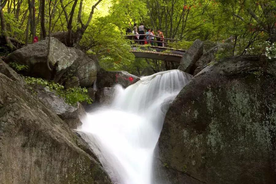 洛阳夏天适合一天游玩放松的地方,洛阳这个季节适合去哪旅游