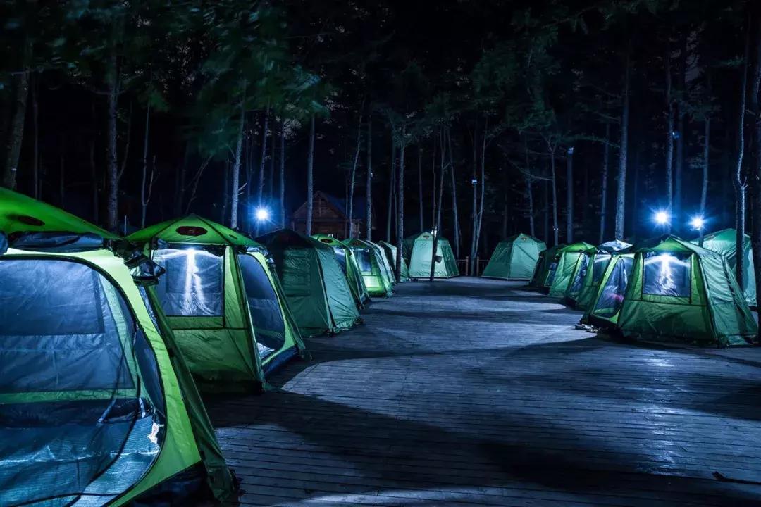 洛阳夏天适合一天游玩放松的地方,洛阳这个季节适合去哪旅游