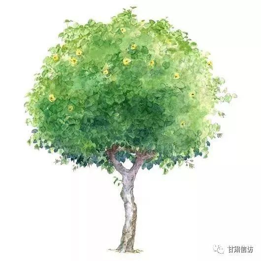 人民日报社记者采访的问题,人民日报求助记者