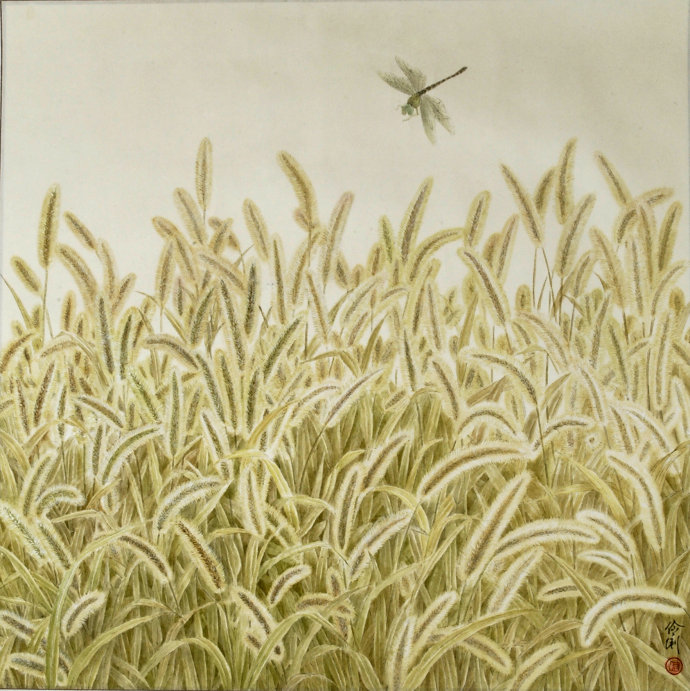 你还记得童年的狗尾草吗,狗尾草小时候