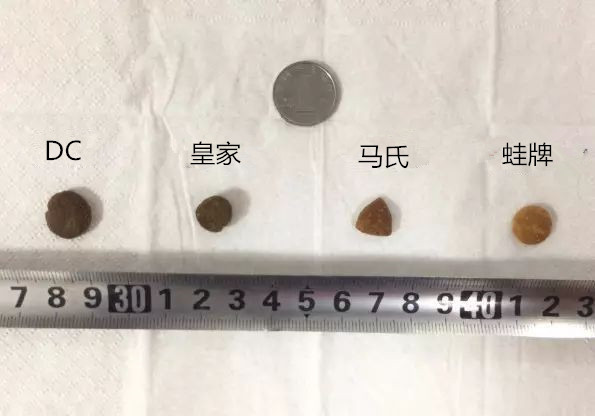 狗粮界内幕段子,进口狗粮内幕