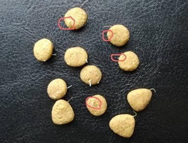 狗粮界内幕段子,进口狗粮内幕