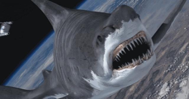 很久没看到这么好看的鲨鱼片了，巨齿鲨在三亚吃饺子宴太有创意了