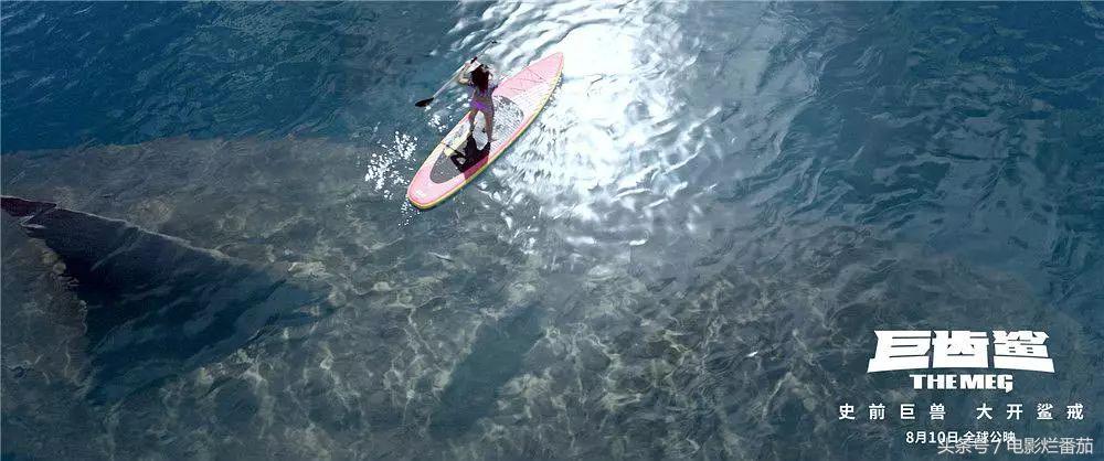 很久没看到这么好看的鲨鱼片了，巨齿鲨在三亚吃饺子宴太有创意了