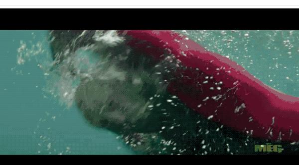 很久没看到这么好看的鲨鱼片了，巨齿鲨在三亚吃饺子宴太有创意了