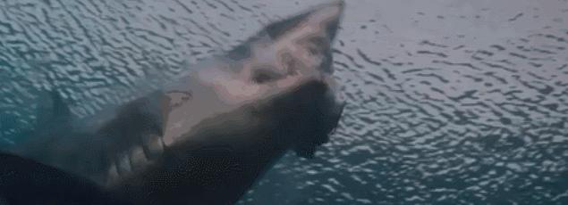 很久没看到这么好看的鲨鱼片了，巨齿鲨在三亚吃饺子宴太有创意了