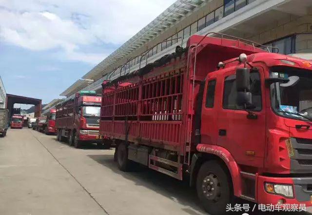 逆势增长的行业,稳健增长的行业龙头