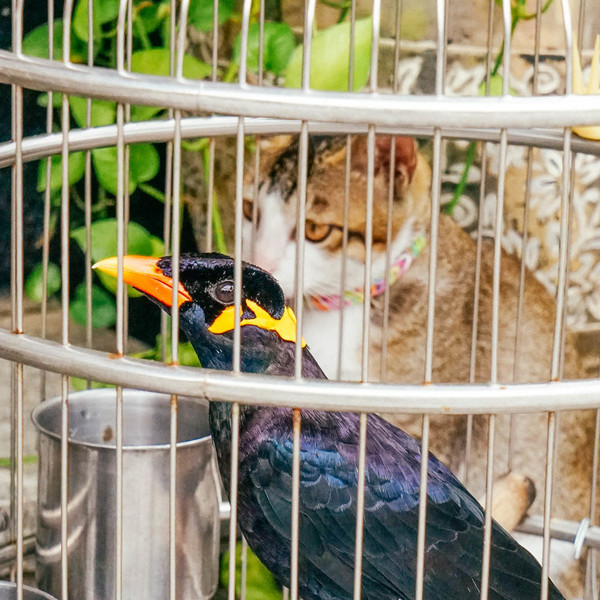 这是一条有气味的街，宝贝如云，还是莞香的起源地