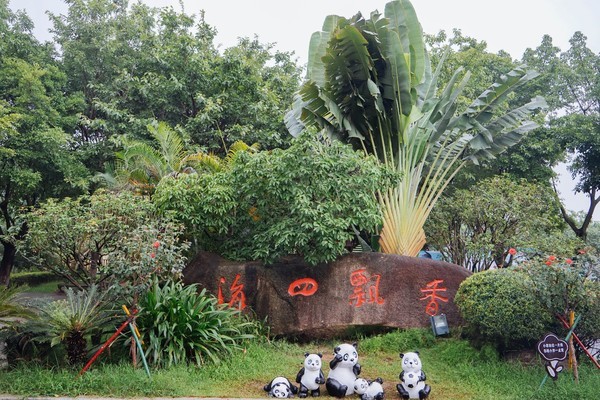 这是一条有气味的街，宝贝如云，还是莞香的起源地