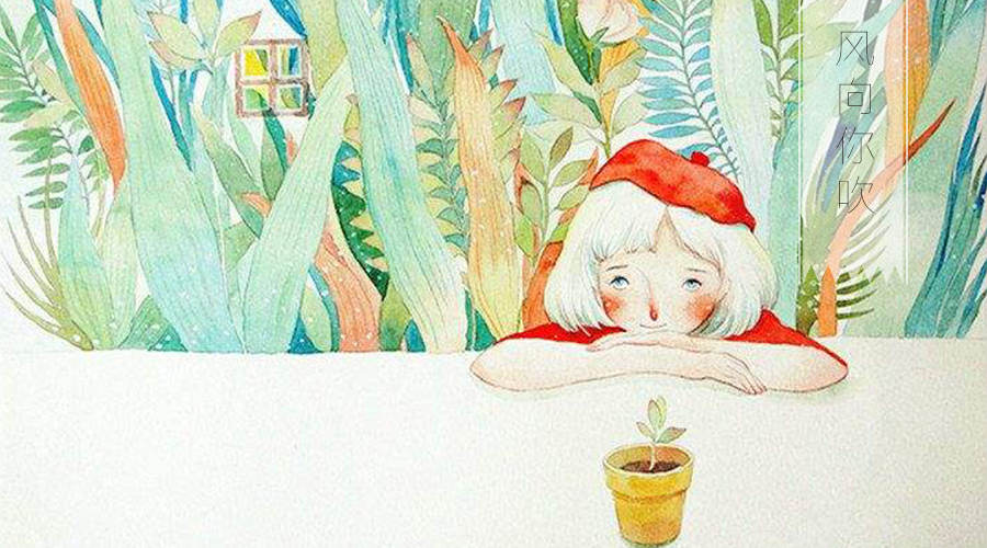 劝年轻人不要撞南墙,很多人是不怕撞南墙的