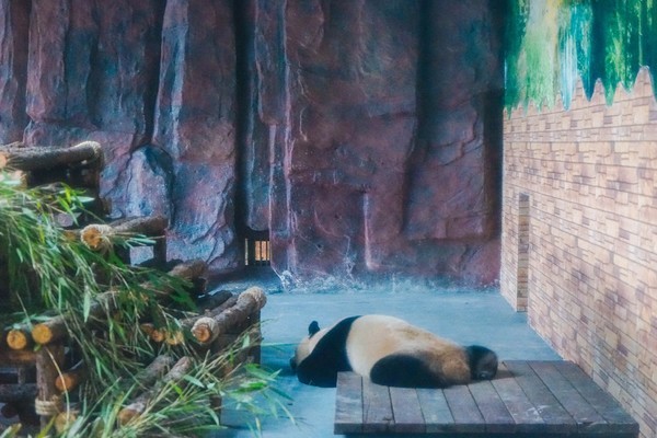 这是一条有气味的街，宝贝如云，还是莞香的起源地