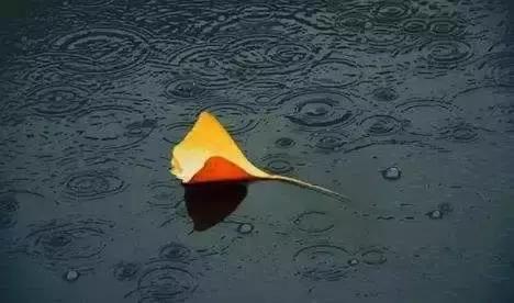 新概念英语值得背诵的句子,新概念英语100个短语