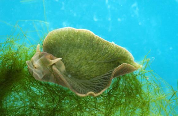 浜虹被涓栫晫鐨勭湡姝g濂囧疂璐濆浘,涓栫晫涓婄湡鐨勪細鏈夌濂囧疂璐濆悧