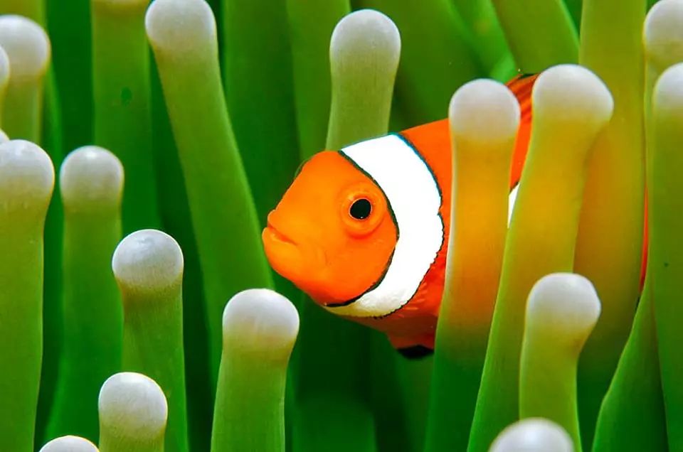 给所有朋友的忠告,给大家的五点忠告人生感悟