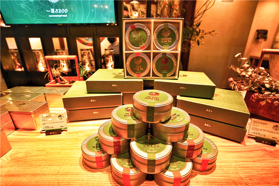 丽江安静的列车上享受着慢生活,丽江慢生活视频