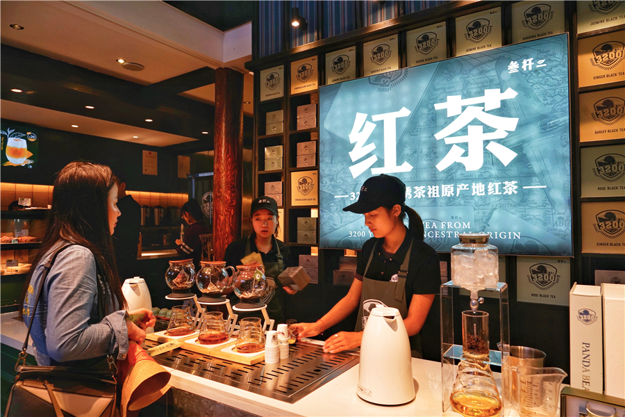 丽江安静的列车上享受着慢生活,丽江慢生活视频