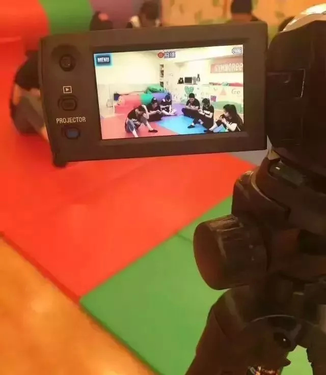 早教为什么越来越少,早教的原因