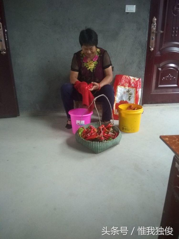 张光春最新视频,张光春钟祥