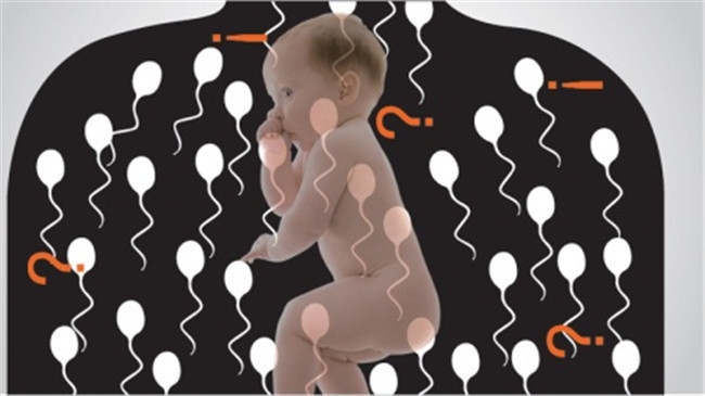 男性备孕不要吃什么,育儿吃什么食补最好