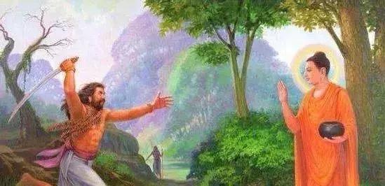 天竺鼠跟天竺有什么关系,原来只是想说明一个道理