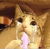 天竺鼠跟天竺有什么关系,原来只是想说明一个道理