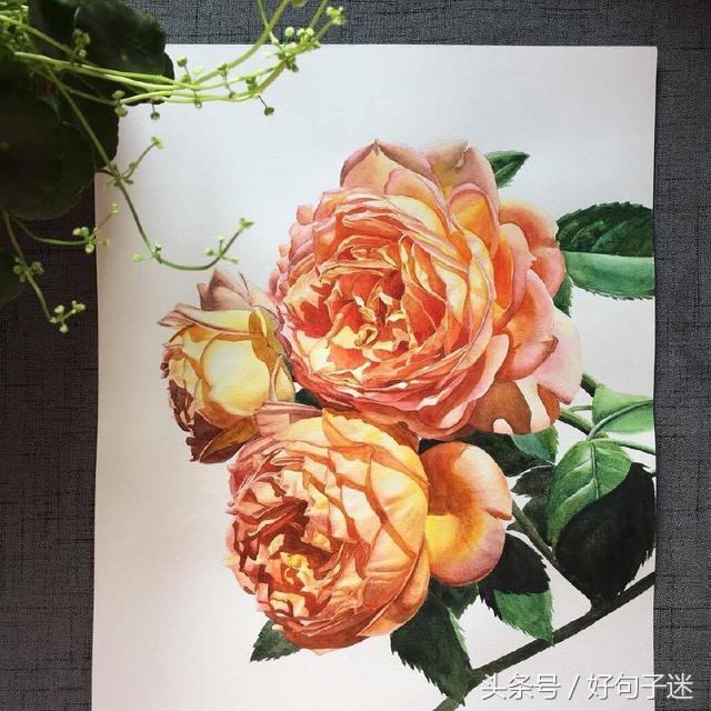 充满诗意的唯美句子图片,优美有意境的句子